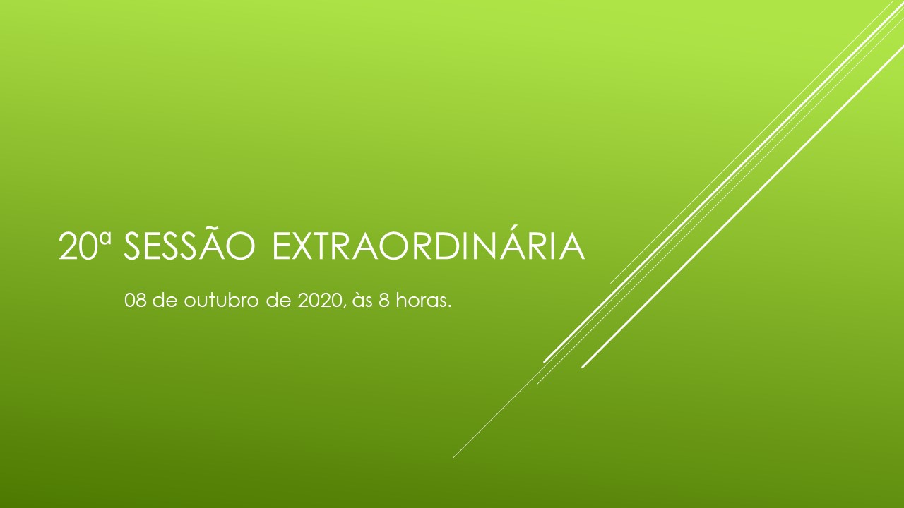 20ª Sessão Extraordinária